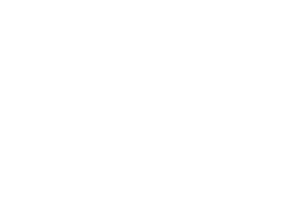 Logo firmy Mega-Trans, Transport Gabarytów